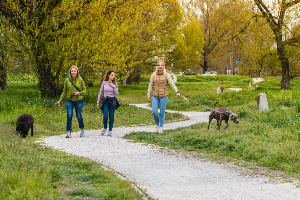 Menschen gehen entspannt mit ihren Hunden beim Social Walk im Hundezentrum Chiemgau zusammen spazieren