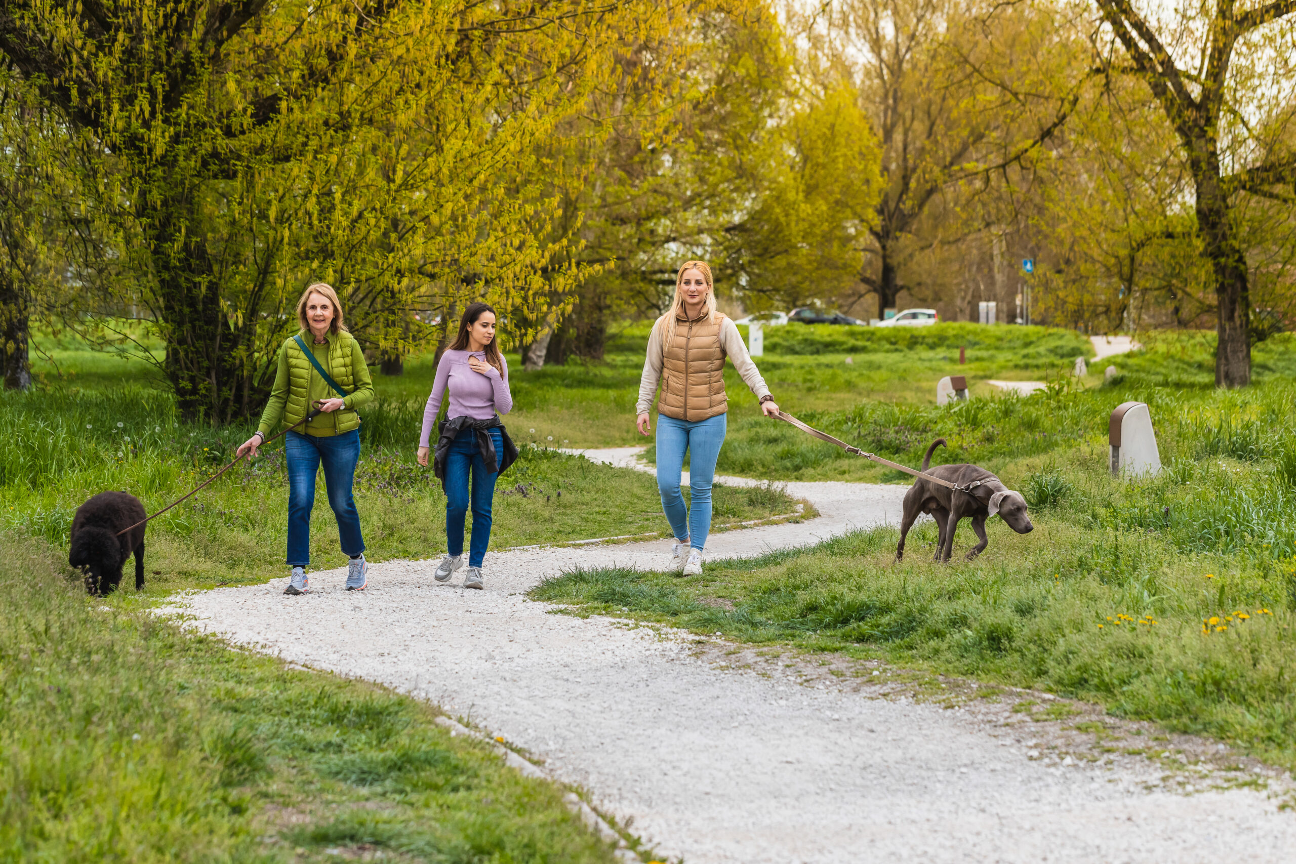 Menschen gehen mit Hunden spazieren, Social Walk im schönen Chiemgau